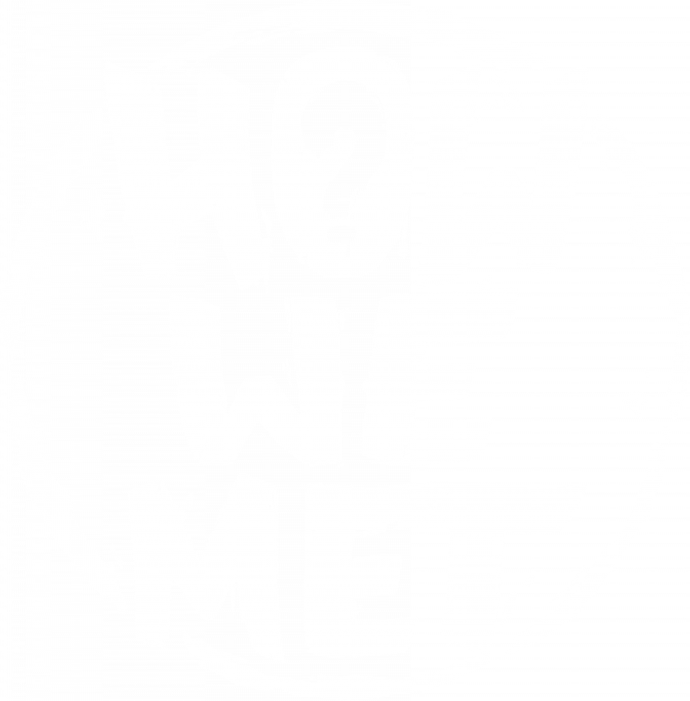 howwemet logo białe